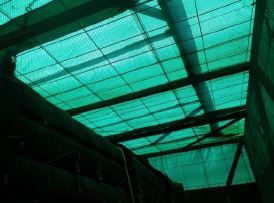 Underneath the Outer Cage